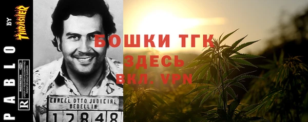 гашик Алексеевка